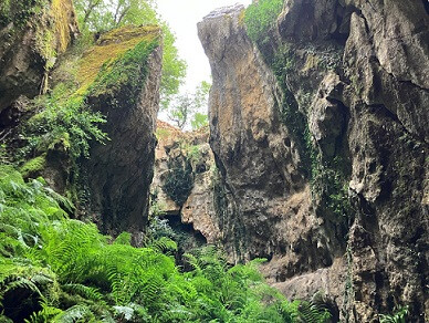 6695937.jpg 6695937.jpg