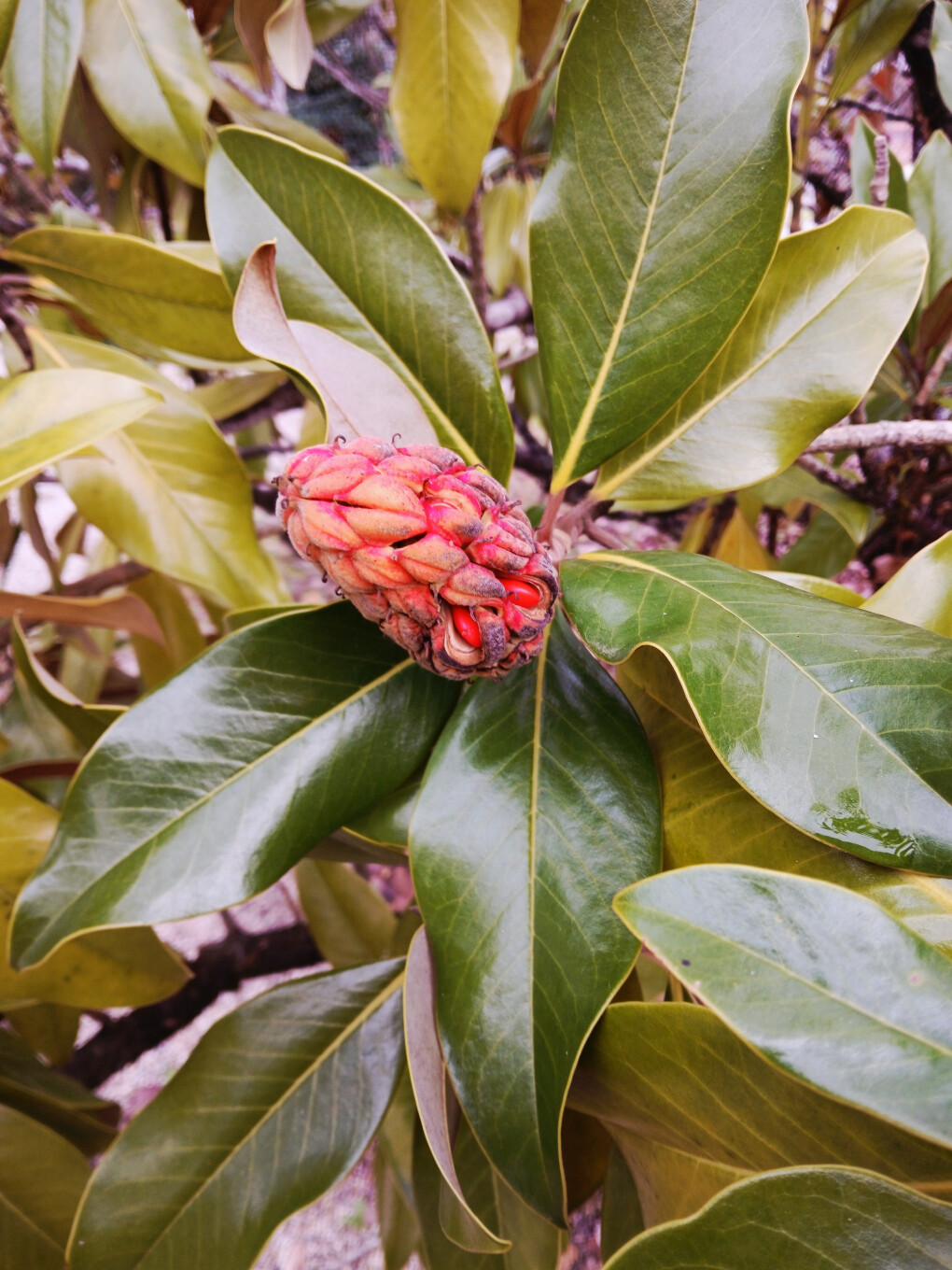 6697851.jpg 6697851.jpg