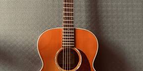Guitare Takamine EG430S-VV