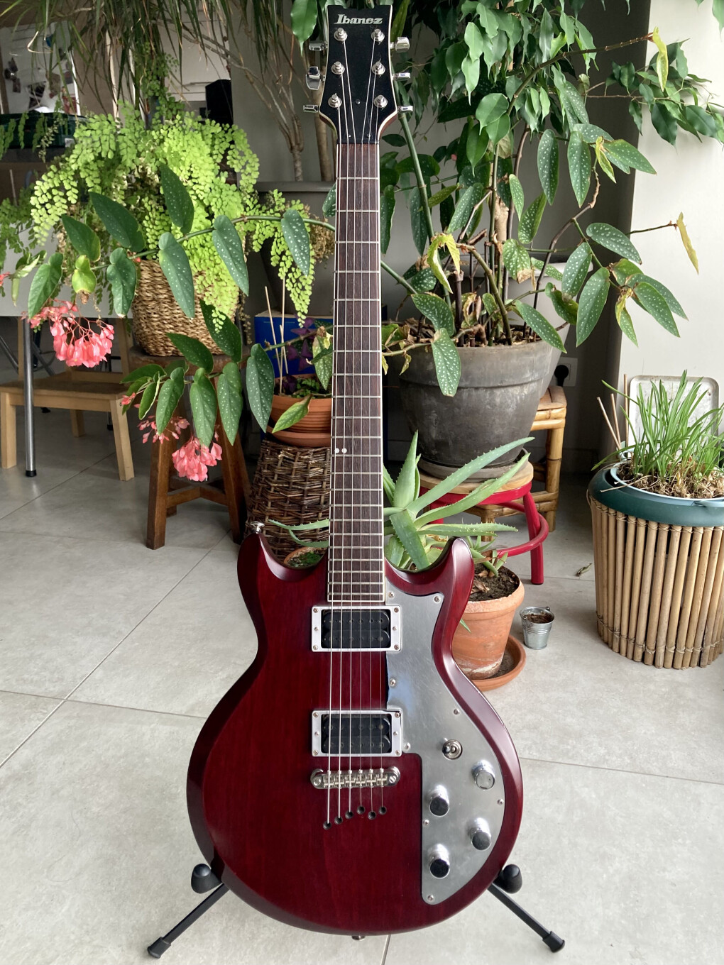 6698508.jpg 6698508.jpg