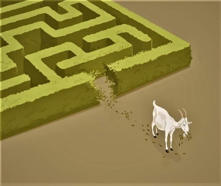 6698606.jpg 6698606.jpg