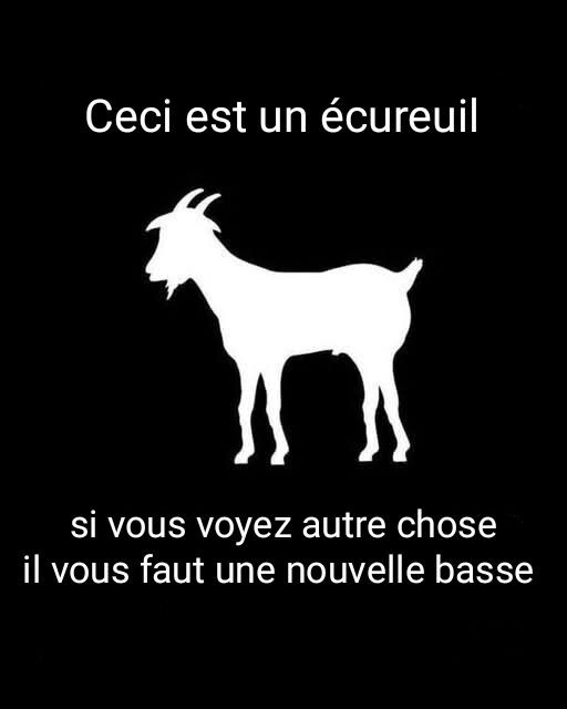 6699835.jpg 6699835.jpg