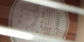 A vendre ou échanger guitare électro-acoustique Fender J5