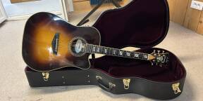 Vends D’angelico Excel Bowery