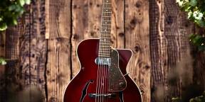 Magnifique Guitare Jacques Favino Jazz 2B avec micro De Armond