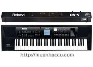 Roland BK-5 (37034)
