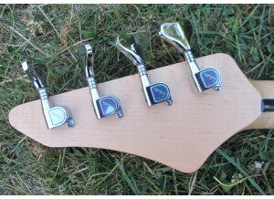 Vigier Excess (21951)