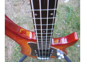 Vigier Excess (90961)