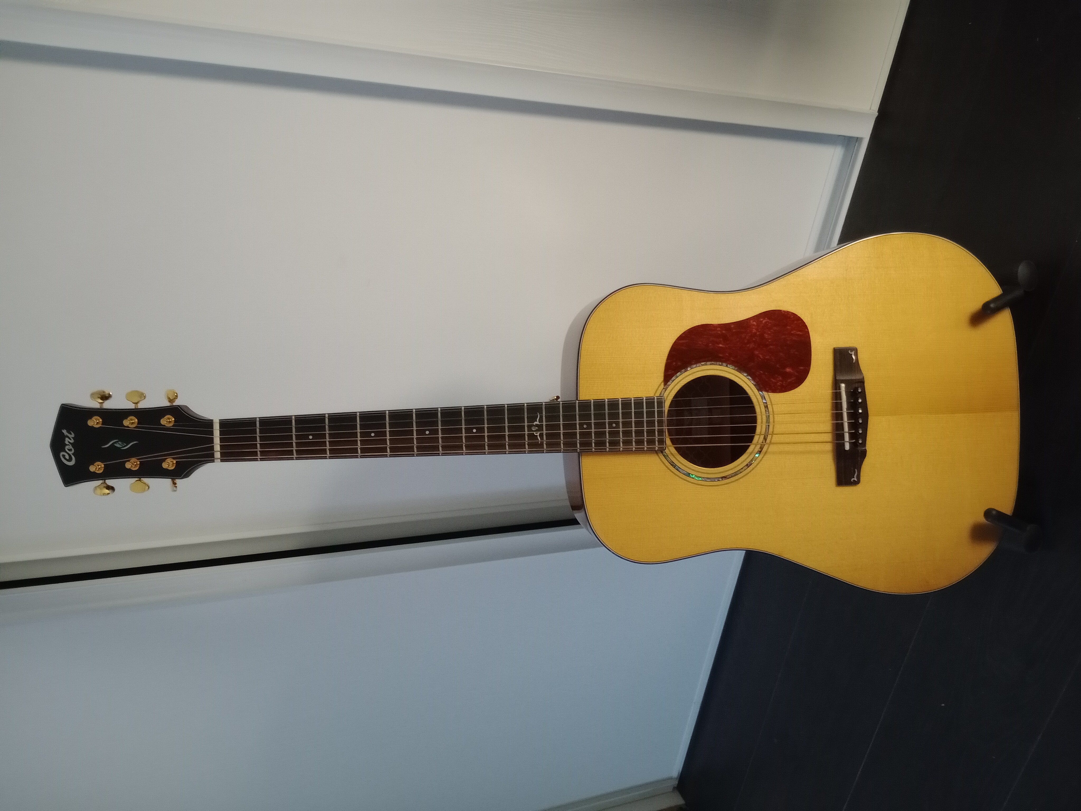 Vends guitare folk accoutisque
