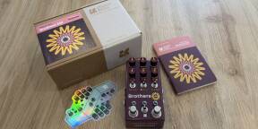 Vends Chase Bliss Audio Brothers AM