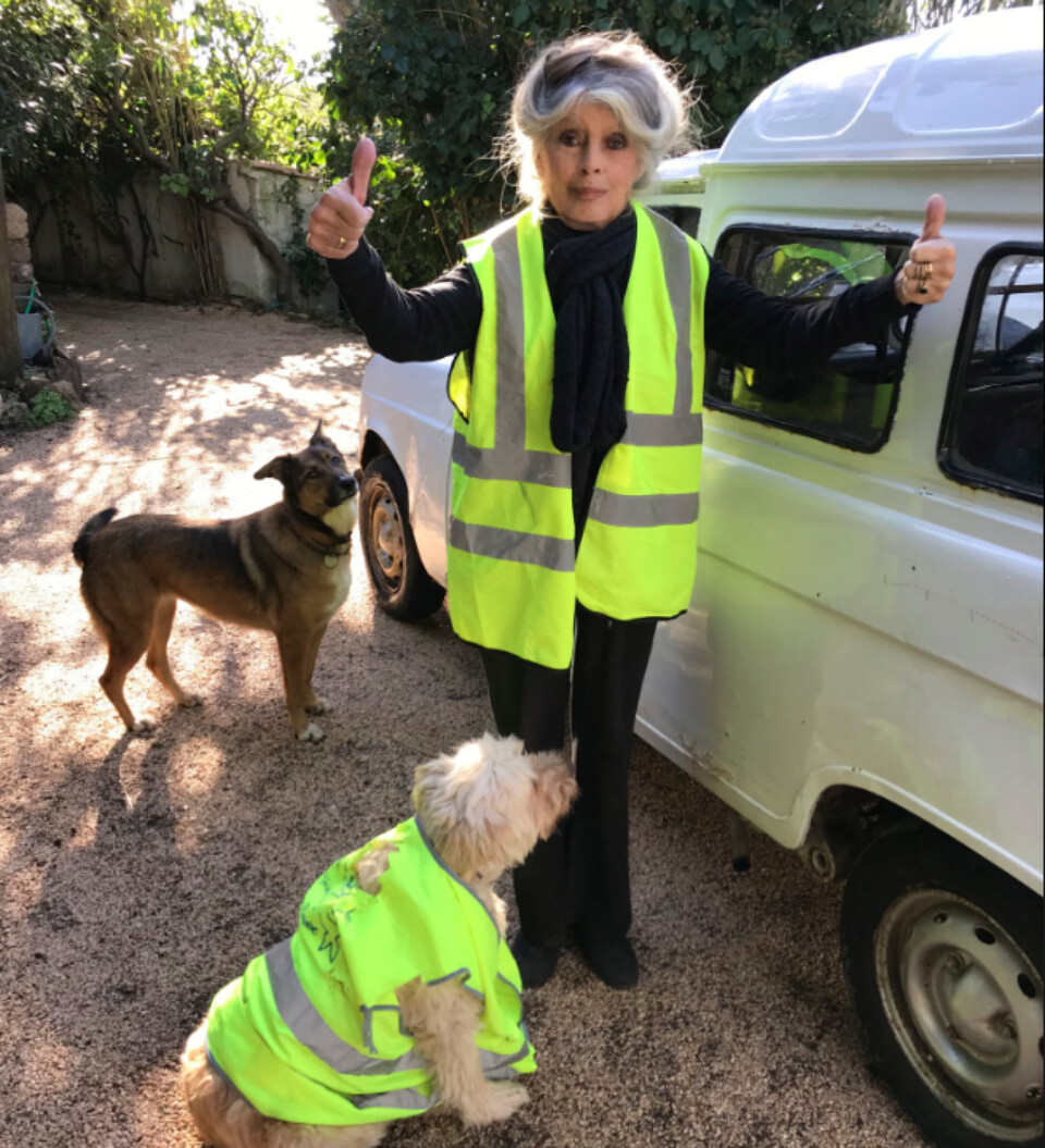 6702452.png 6702452.png