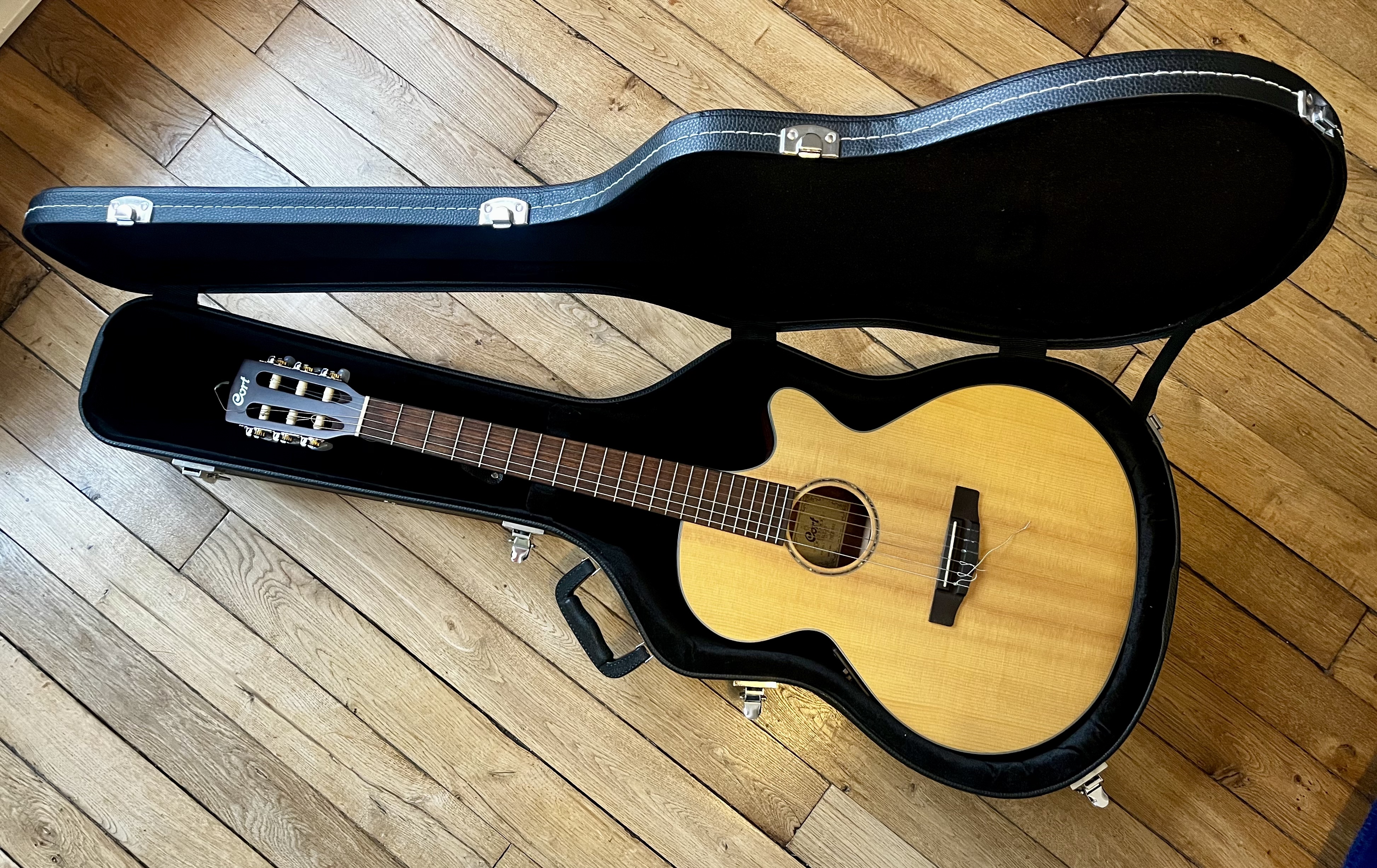 Vends Etui guitare THOMANN Western Guitare Case 12