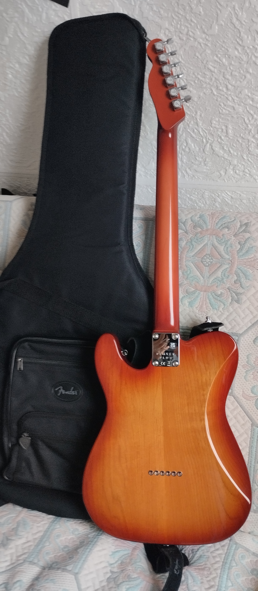 Télécaster Nashville de luxe 24 frettes