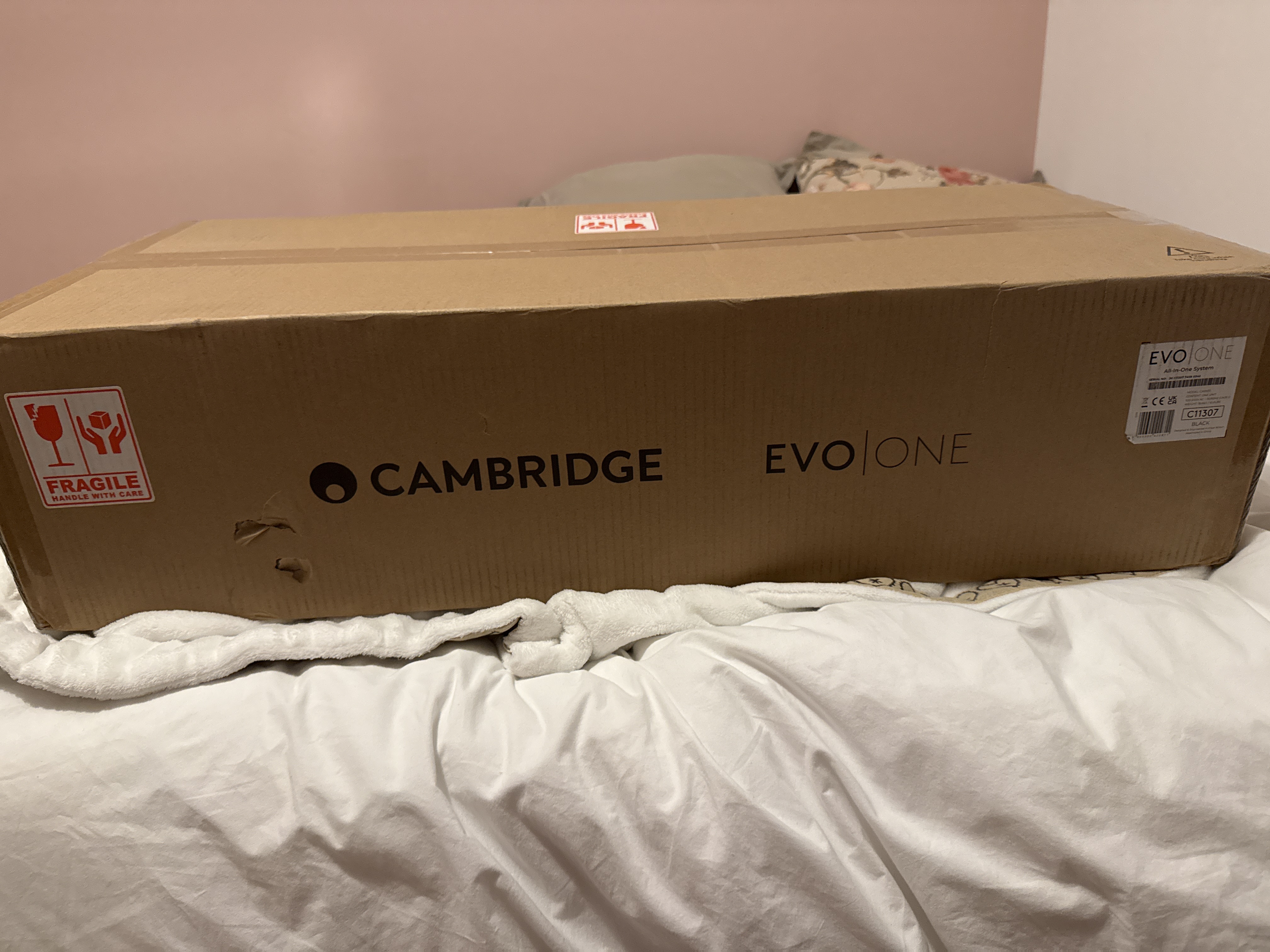 Vends enceinte multi directionnelle Cambridge Evo one Noire 