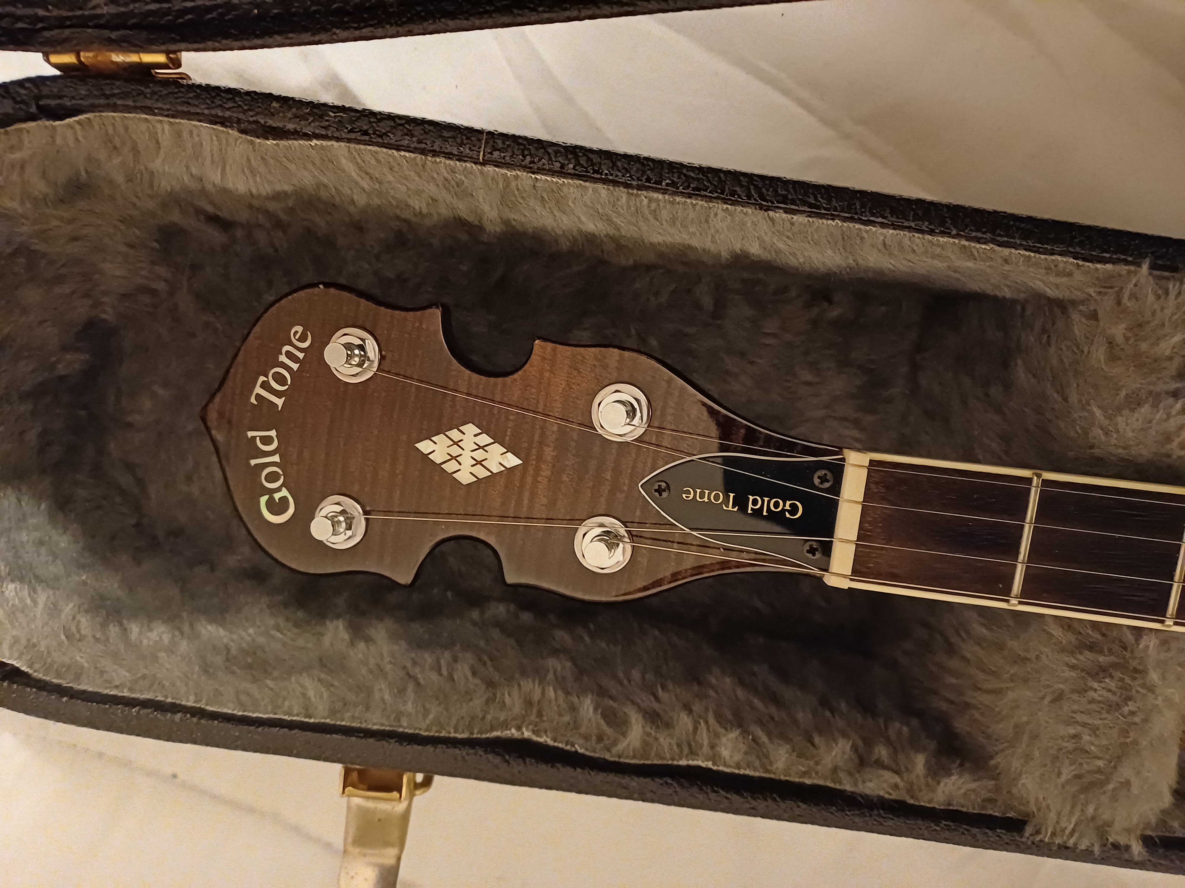 Vend banjo professionnel Gold Tone BG 250 F