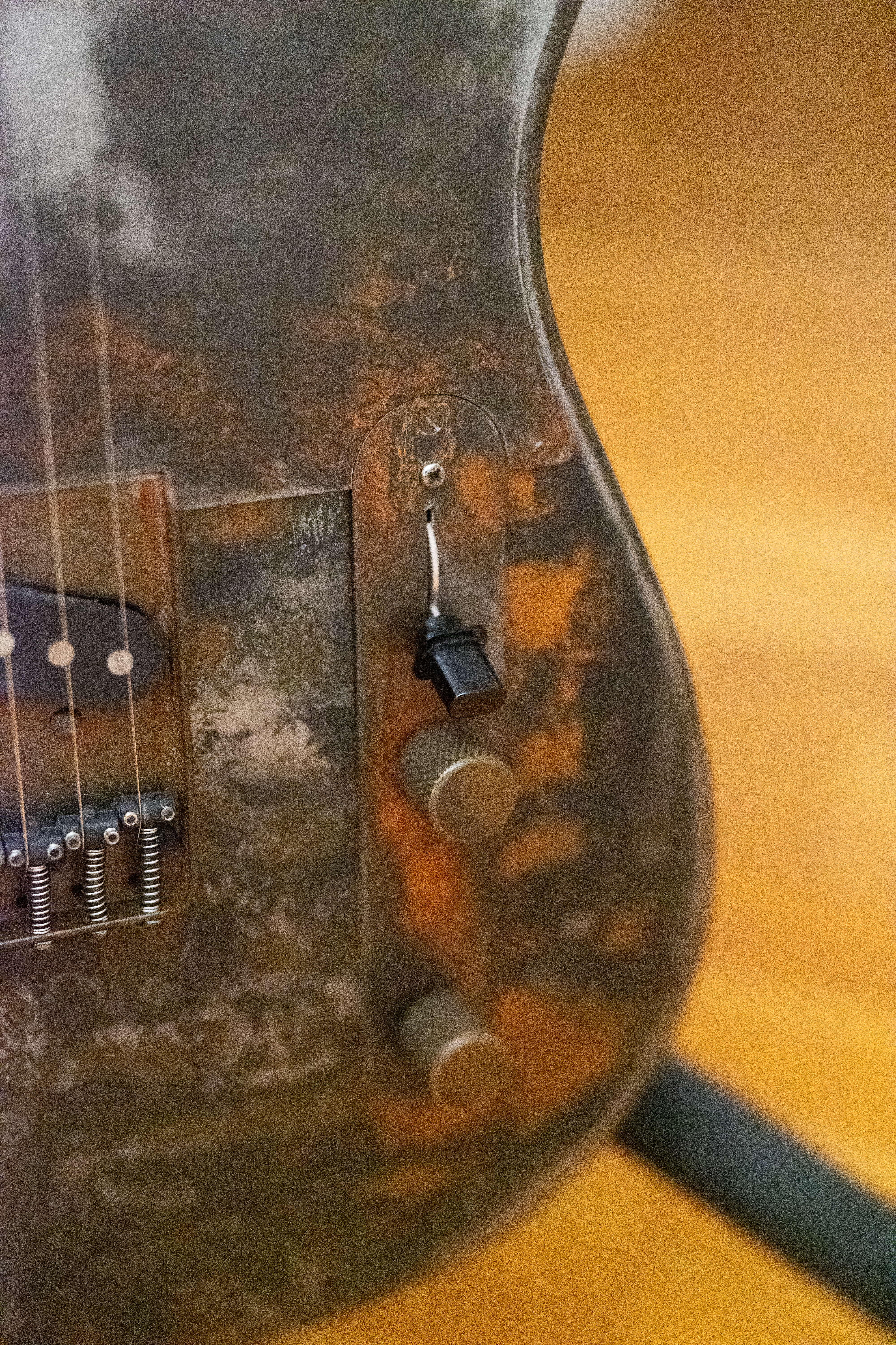 James Trussart Steelcaster Tusty Gator