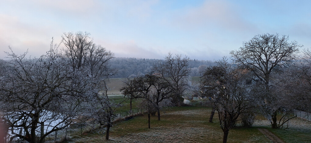 6703800.jpg 6703800.jpg