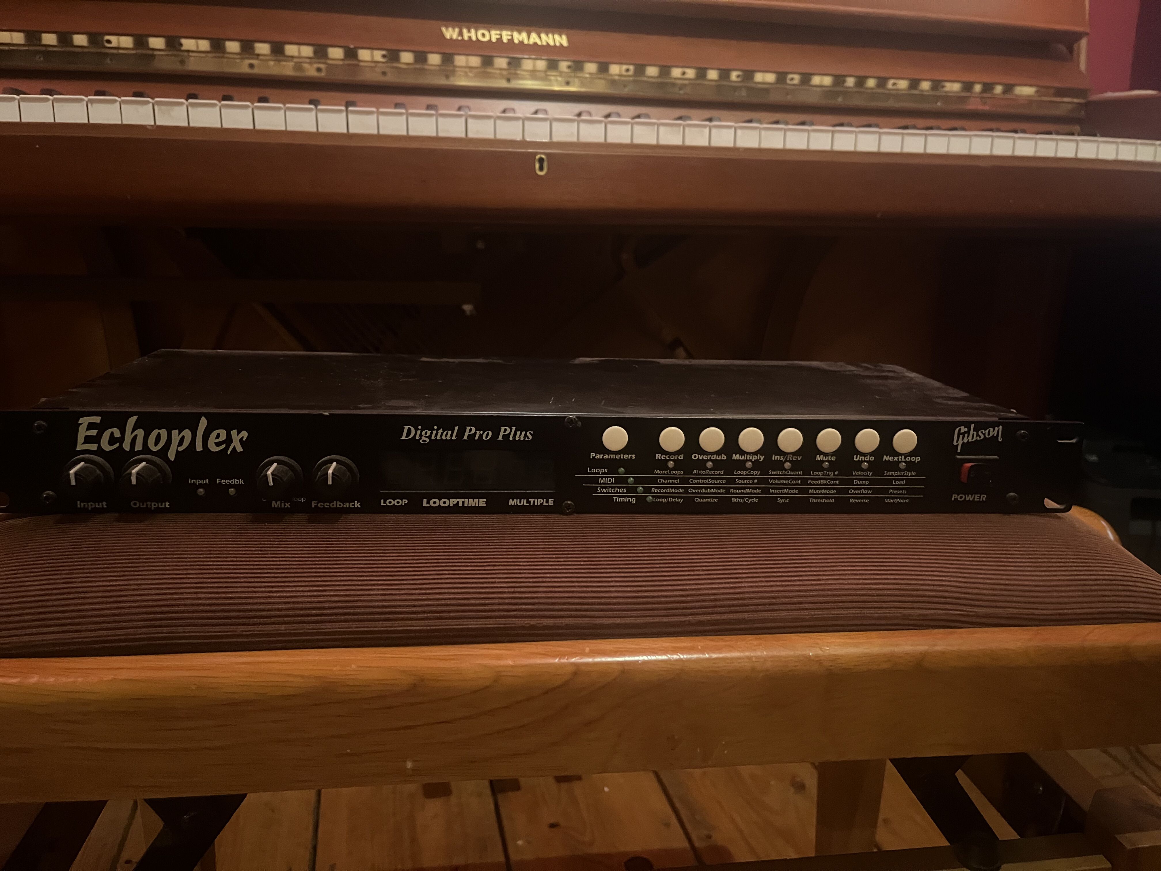 Gibson Echoplex Digital Pro Plus 