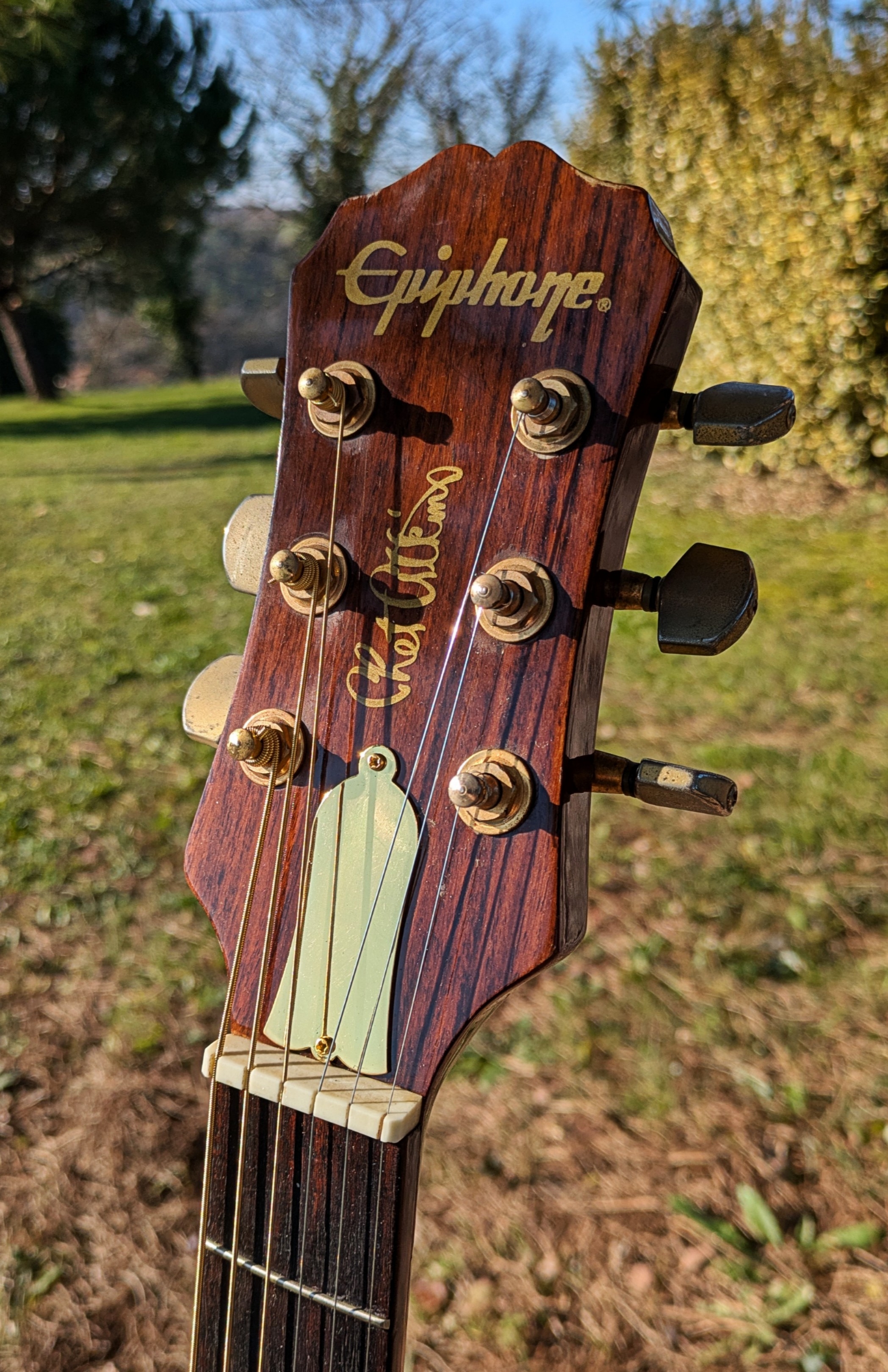 Epiphone Chet Atkins SST Custom 90's 
