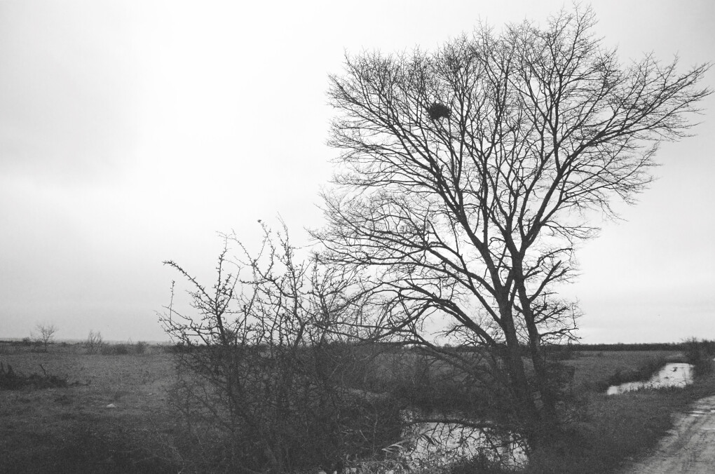 6704476.jpg 6704476.jpg