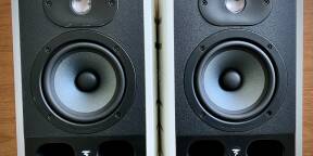 Paire FOCAL Alpha 50 Bon état quelques traces d'usure mais très peu utilisée