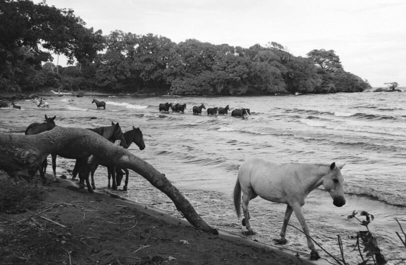 6704596.jpeg 6704596.jpeg