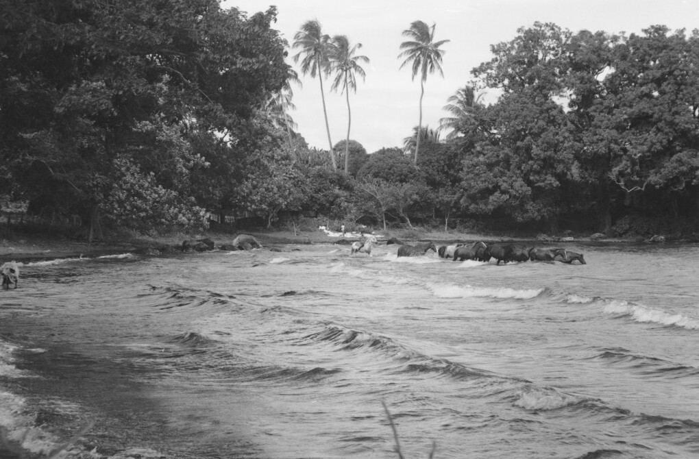 6704612.jpeg 6704612.jpeg