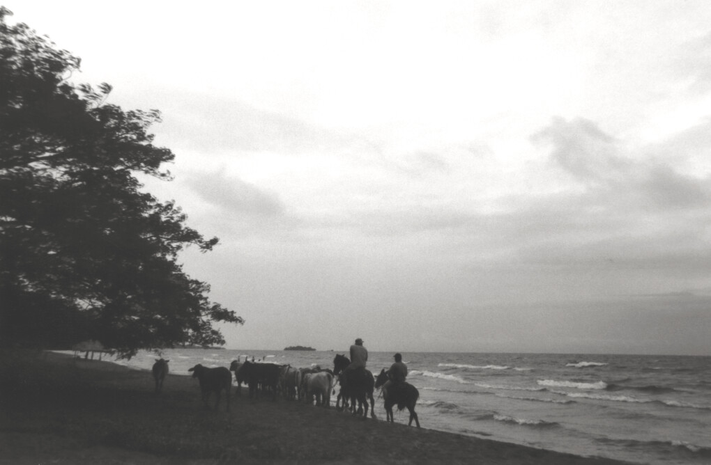 6704613.jpeg 6704613.jpeg