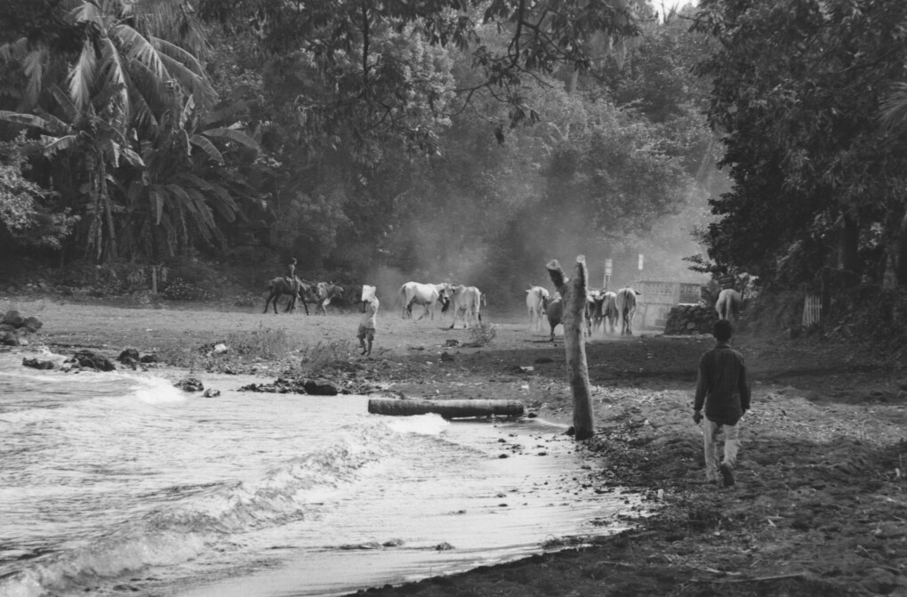 6704614.jpeg 6704614.jpeg