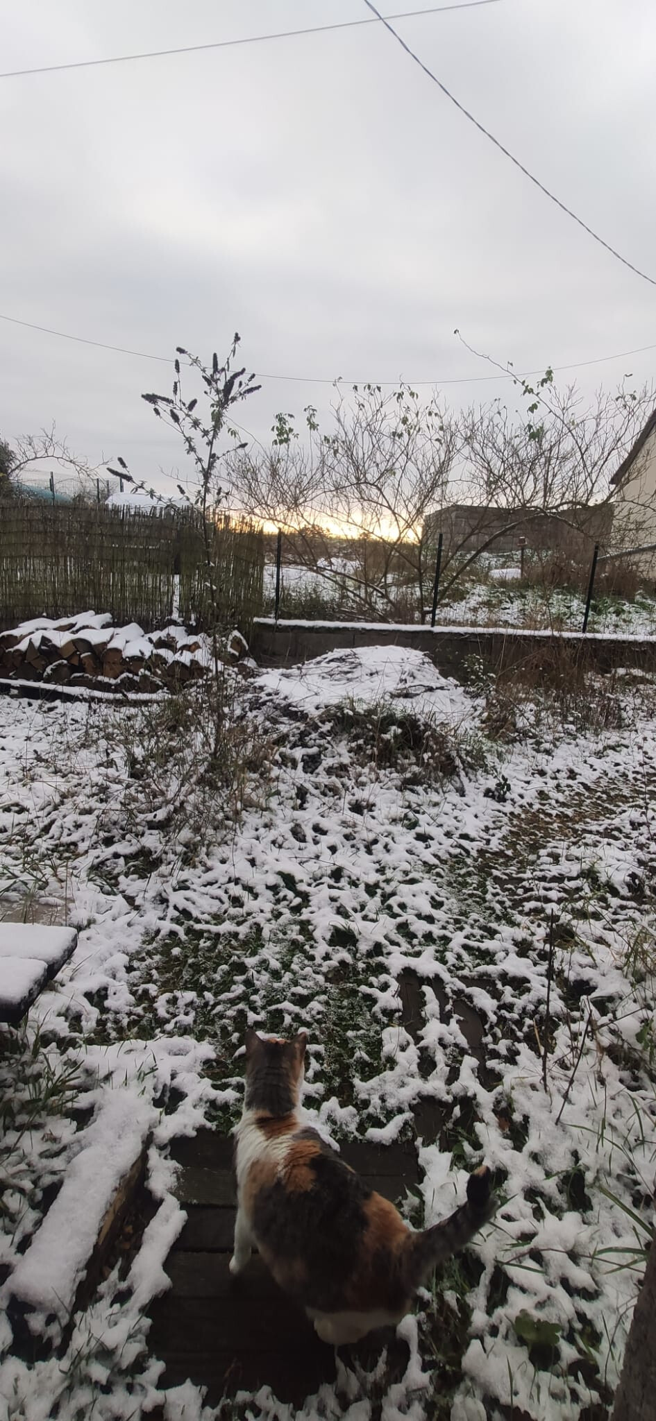 6704989.jpeg 6704989.jpeg