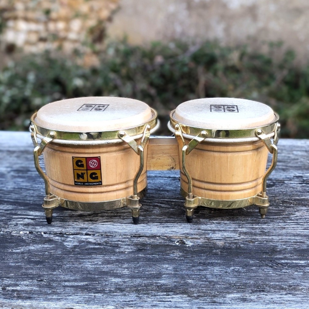 Vends Bongo GNG