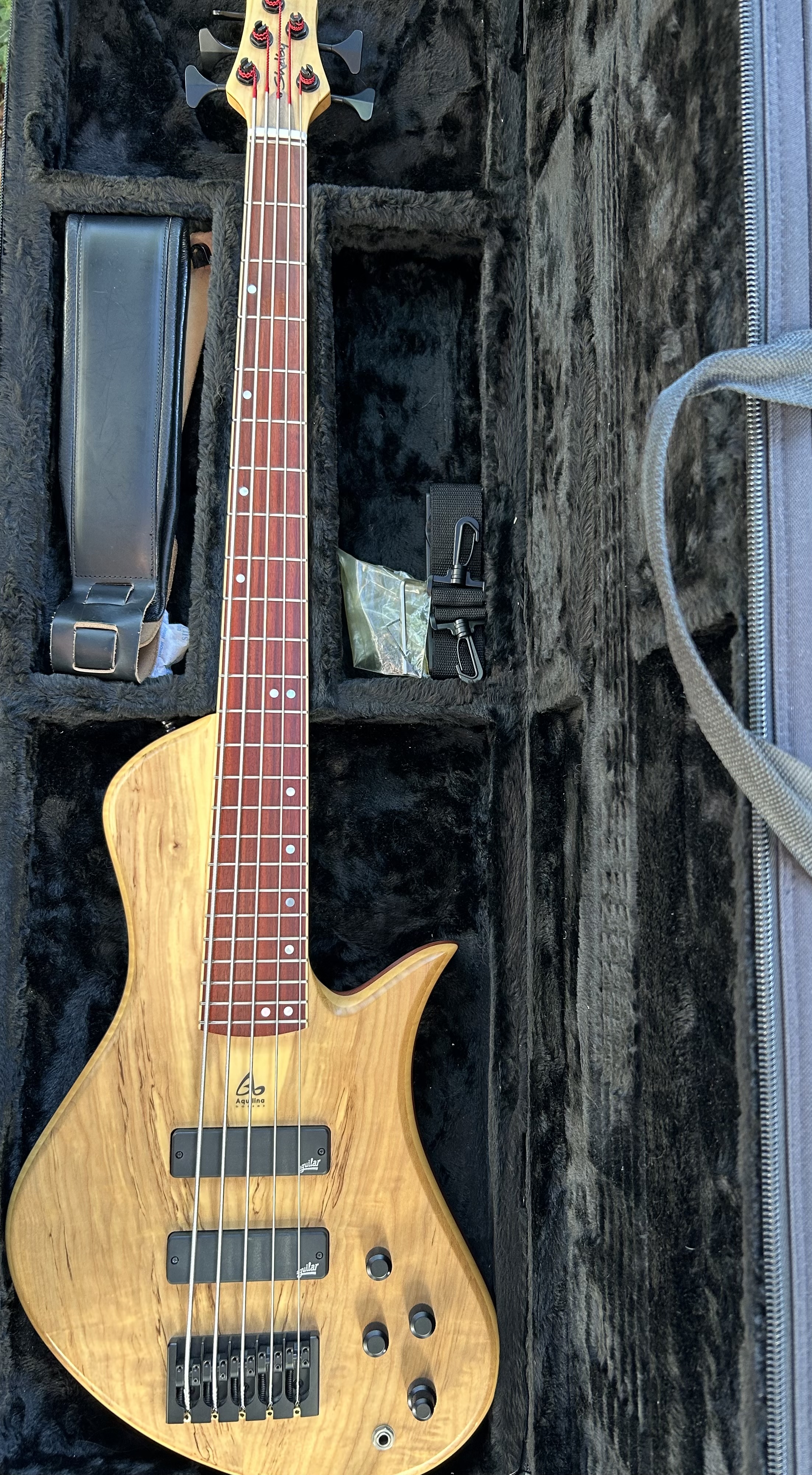 Aquilina Shelby 5 cordes