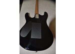 Music Man Steve Morse (61931)