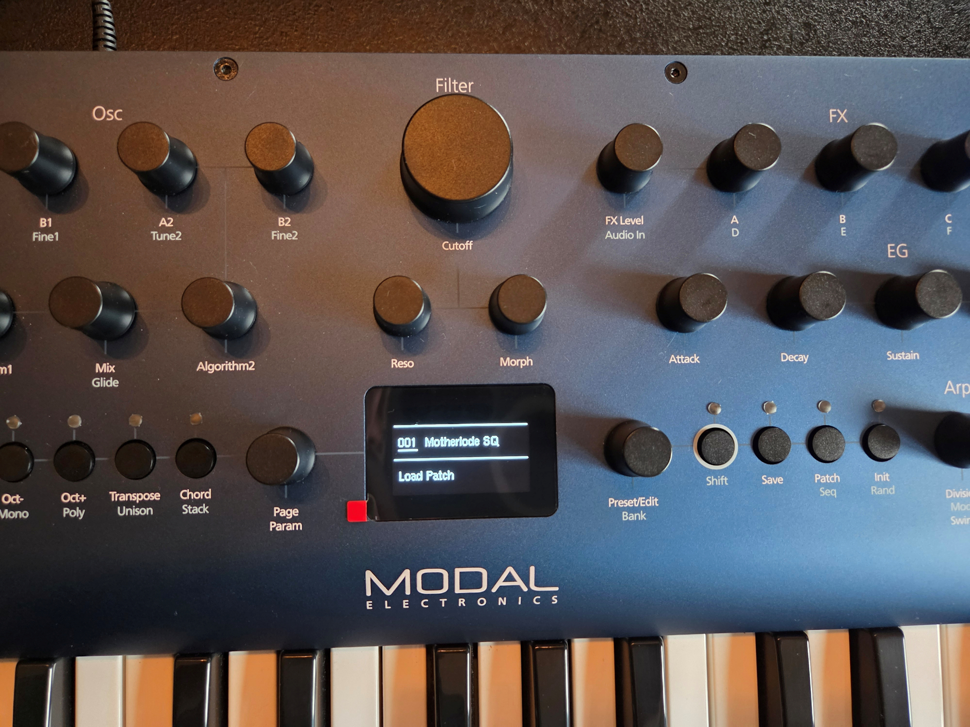 Modal Electronics Cobalt8 (82631)