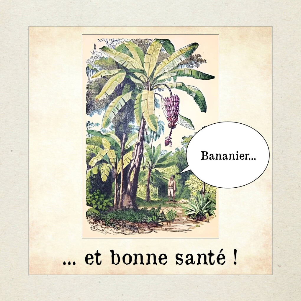 6706170.jpg 6706170.jpg