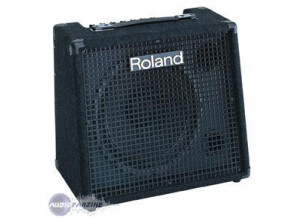 Roland KC-100 (22923)