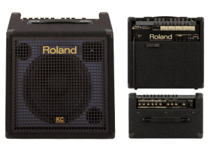 Roland KC-100 (41981)