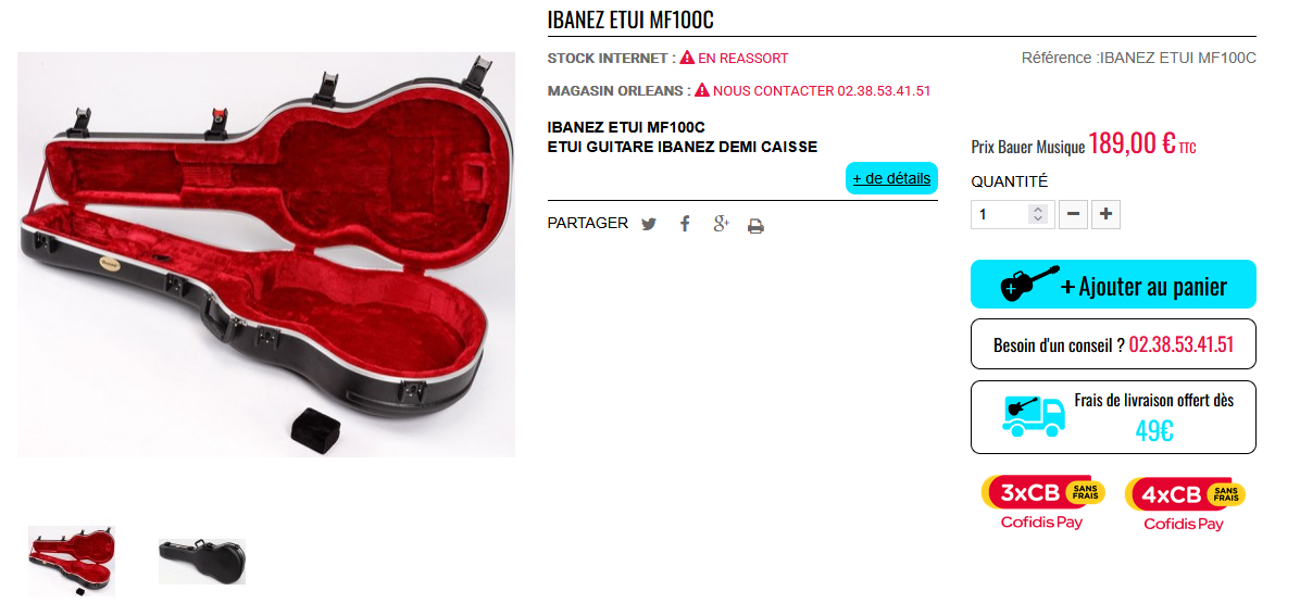 Skb MF100C size es339 Hollow Body