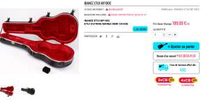 Skb MF100C size es339 Hollow Body