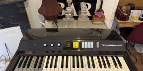 A vendre Elka Panther 100 restauré