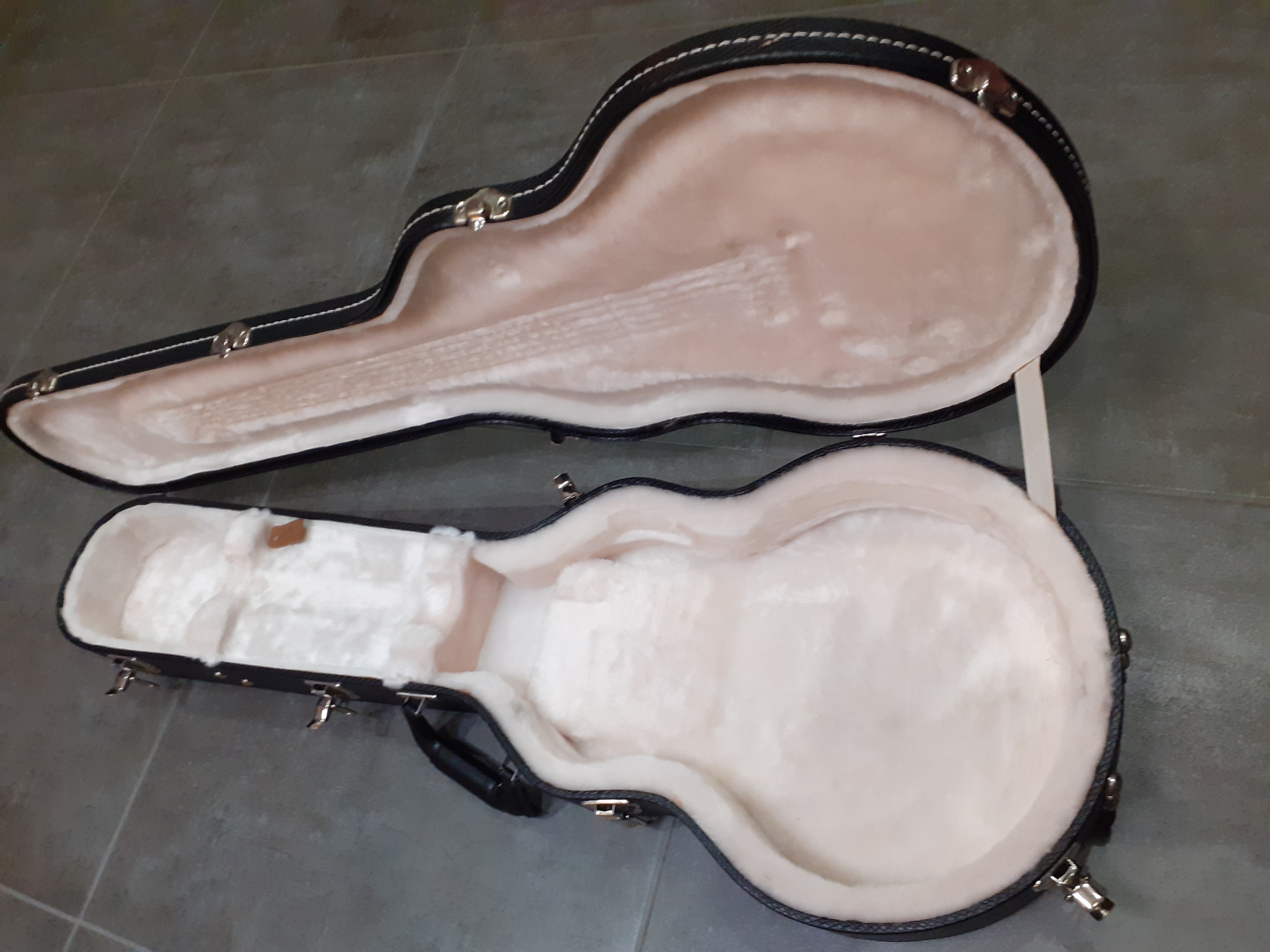 CASE GIBSON (1)