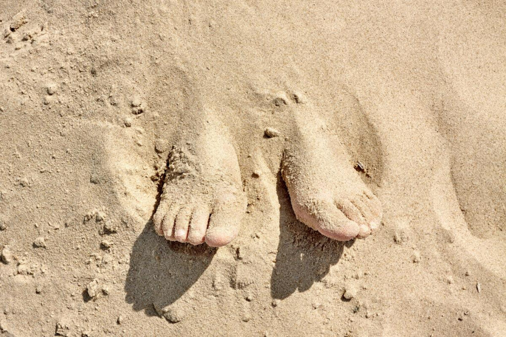 6706904.jpg 6706904.jpg