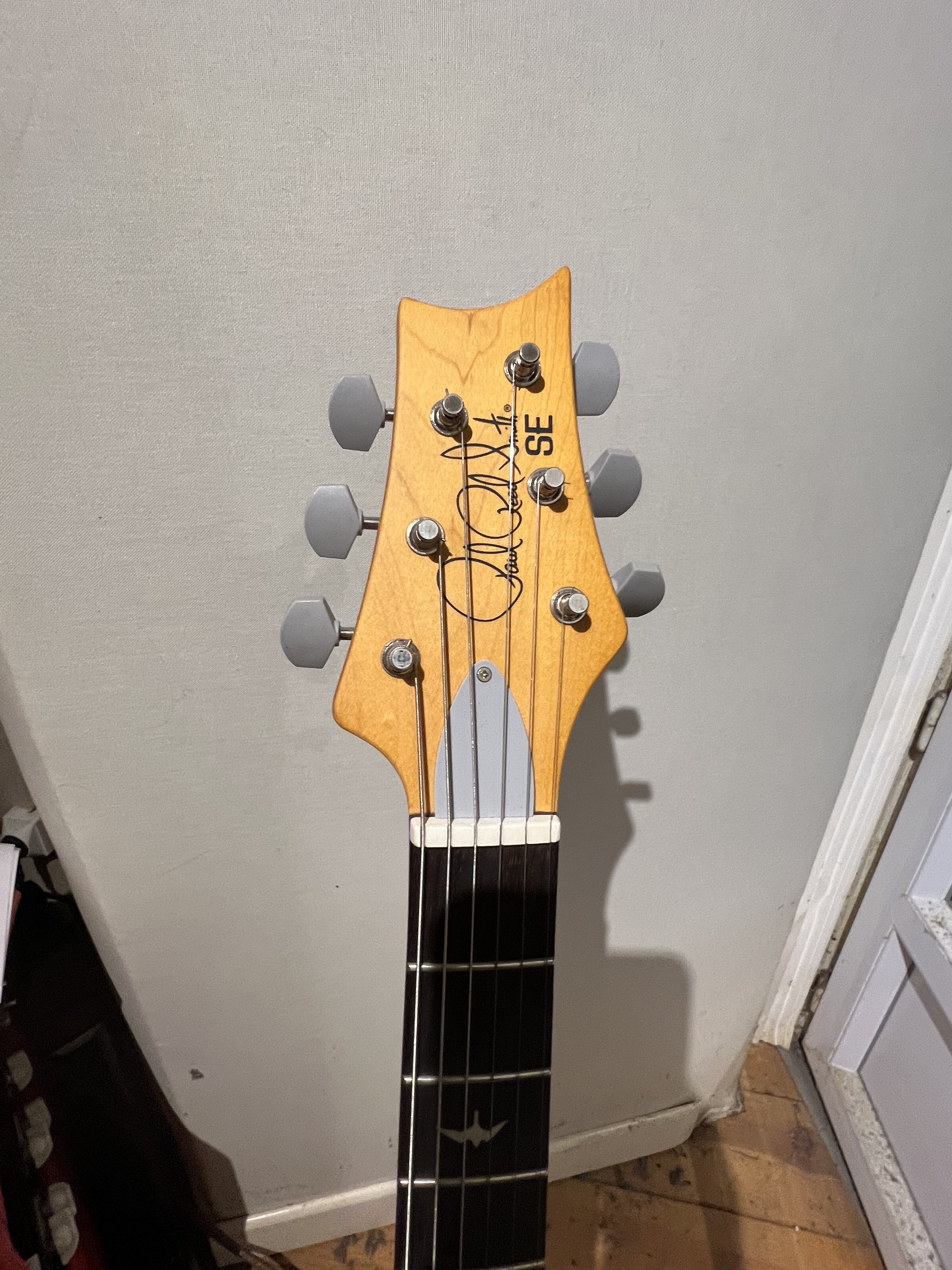 PRS SE Silver Sky Rosewood (87687)