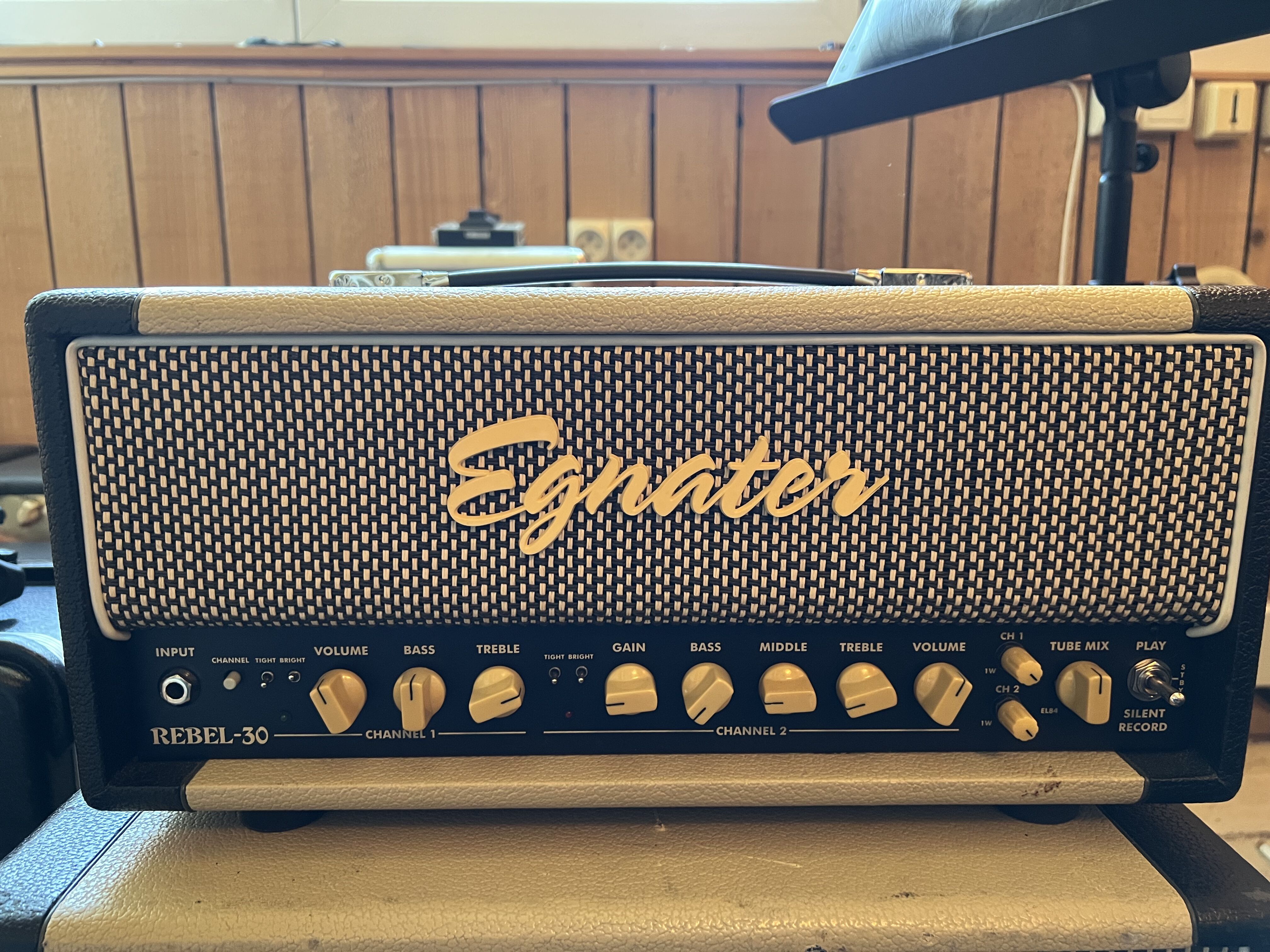 Vends Egnater Rebel 30 Tête et Cab'