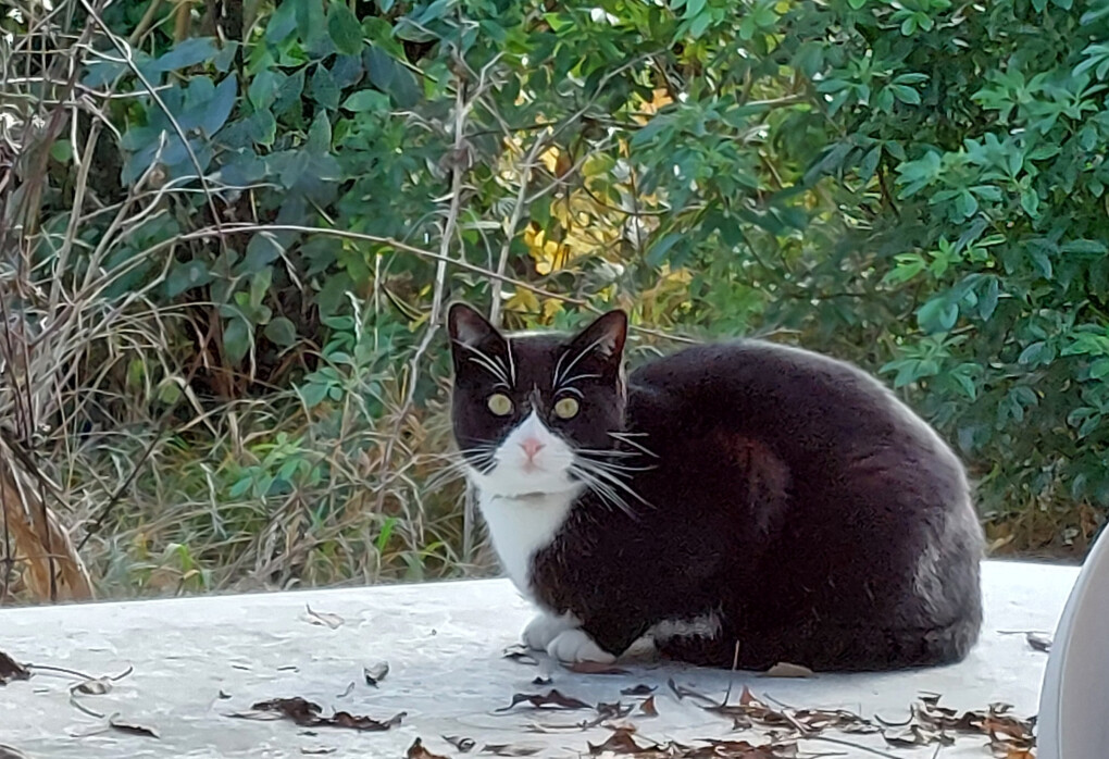 6707064.jpg 6707064.jpg