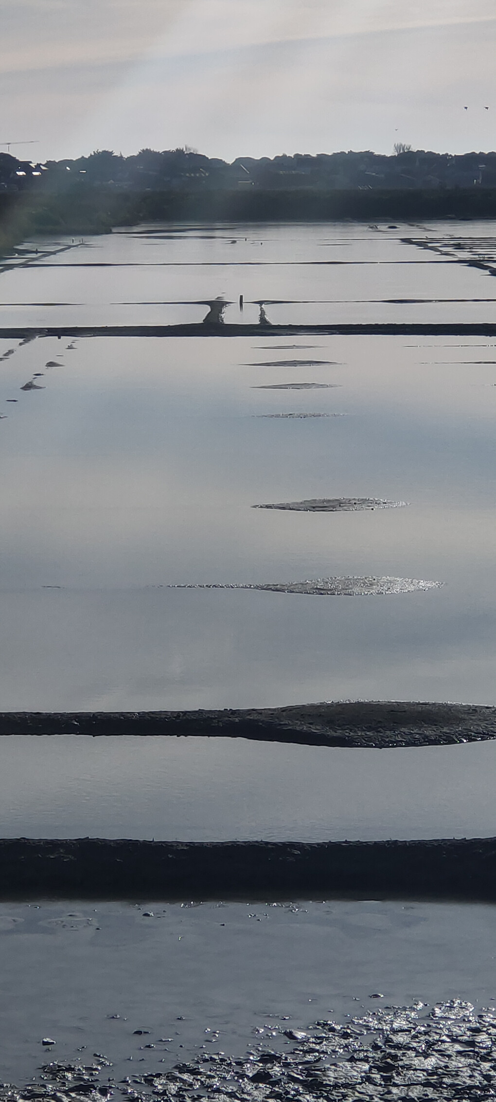 6707291.jpg 6707291.jpg