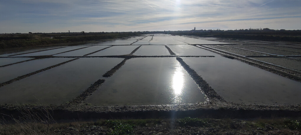 6707292.jpg 6707292.jpg