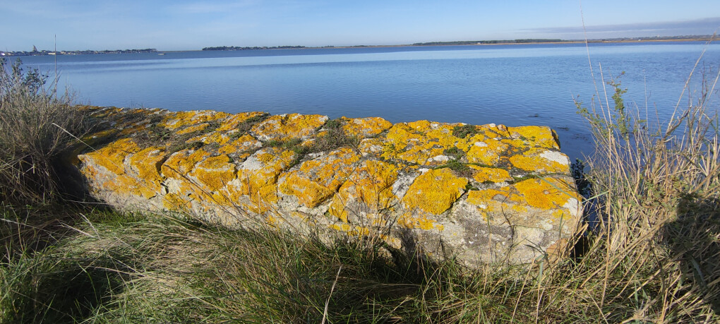 6707293.jpg 6707293.jpg