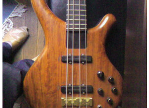 Schack B2 carbon (99468)