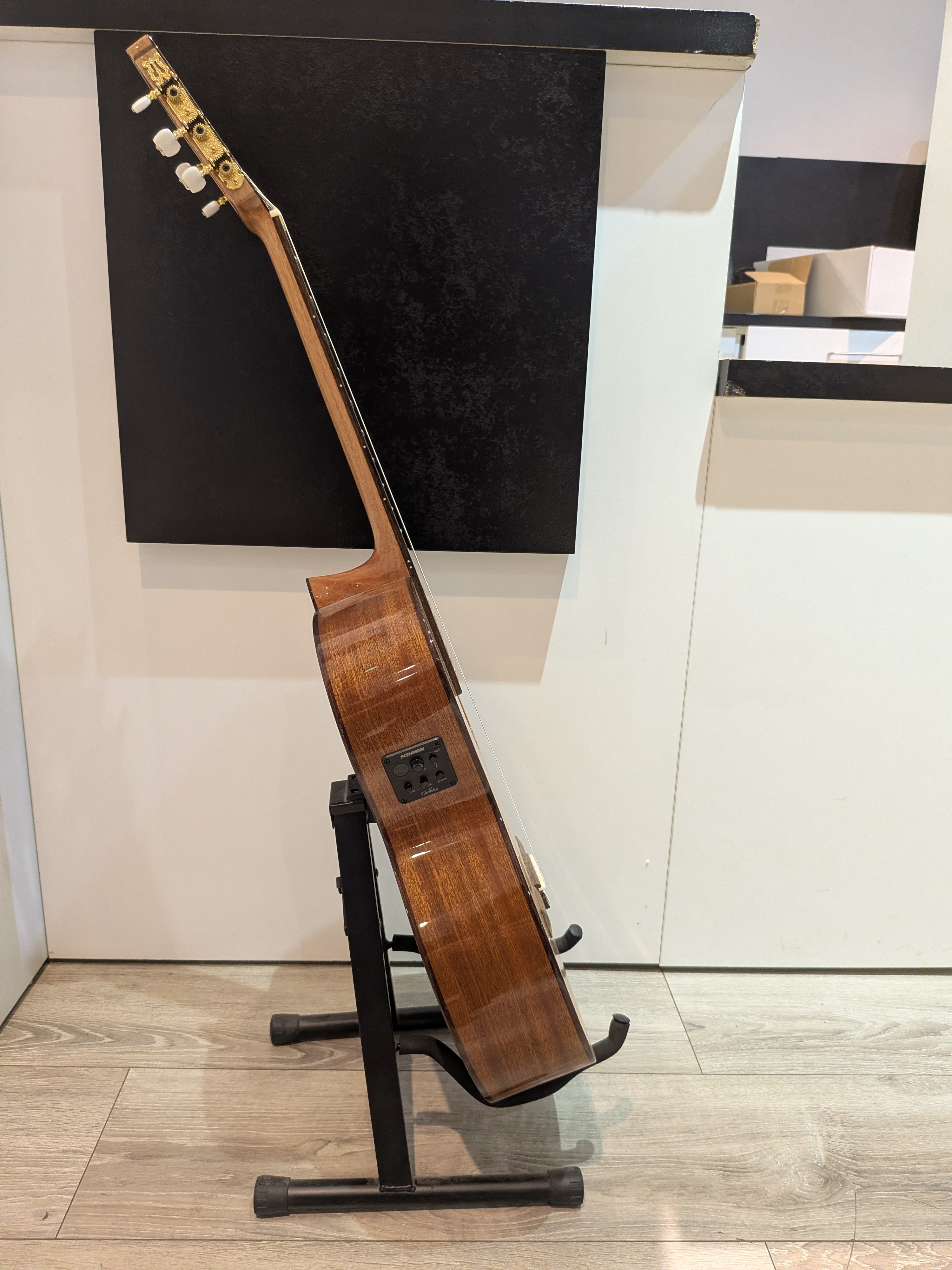 Cordoba C5-Ce, Avec sacoche de protection 